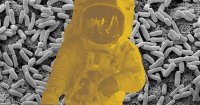Russian Space Station Plan Raises Concerns Over Microbial Contamination