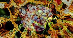 UK Doctors Report Lung Tumor Shrinkage in Patient Using CBD Oil